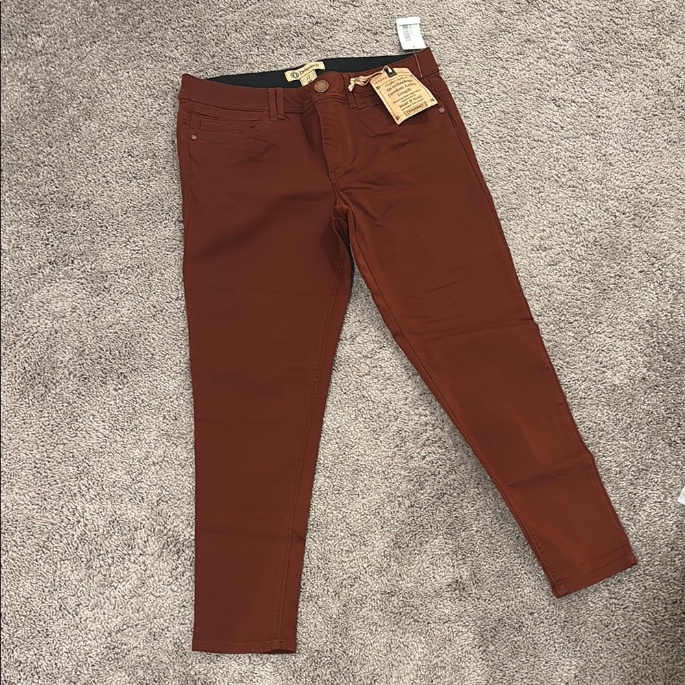 Democracy Brown Skinny Jeans with Slim Fit